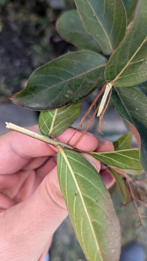 "Tell one of the board members, or the management company, to meet you at your house."