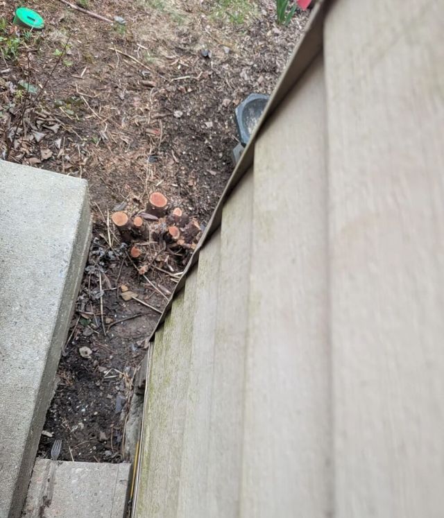 "Report it and file a civil suit for damages."