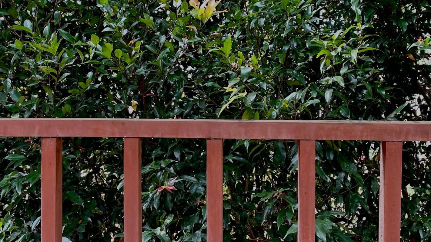 "Report it and file a civil suit for damages."