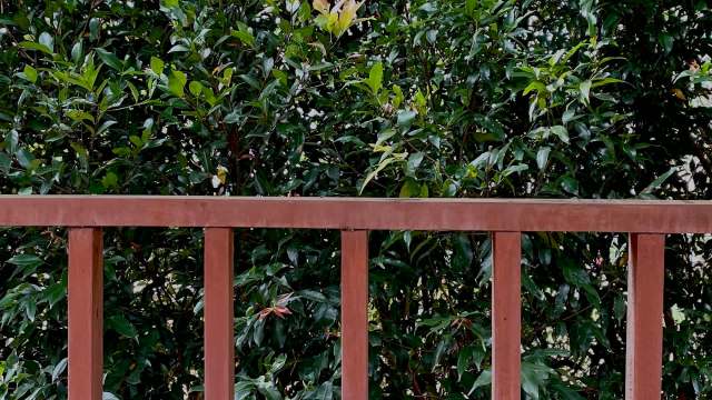 "Report it and file a civil suit for damages."