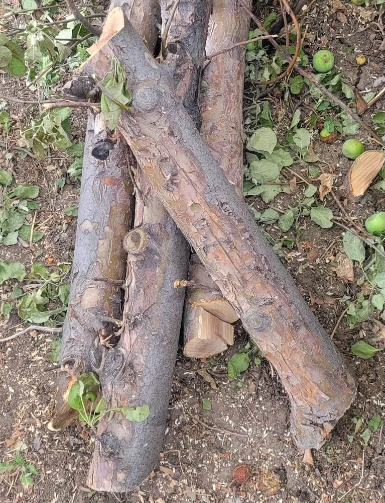 "Send this picture to the boss of the company that made the cut."