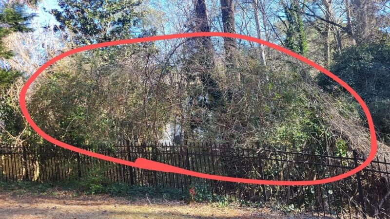 "You're in for a ton of work."