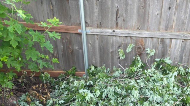 Supporters were quick to jump to the homeowner's defense.