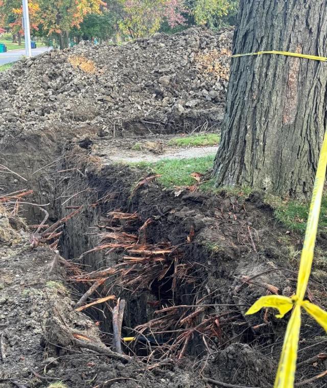 "This just makes me sad."