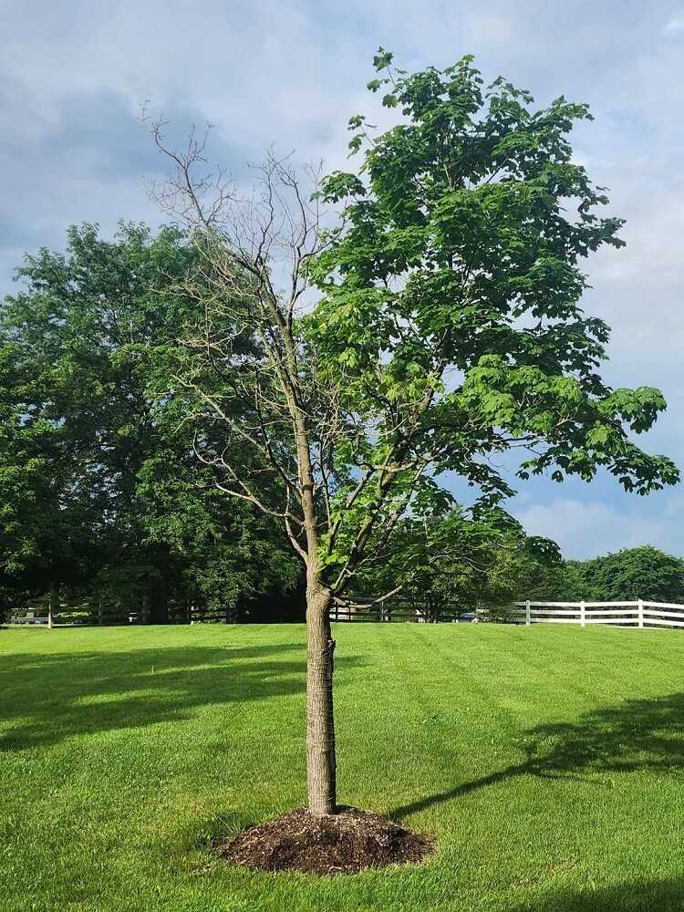 "Personally, I give it one year."