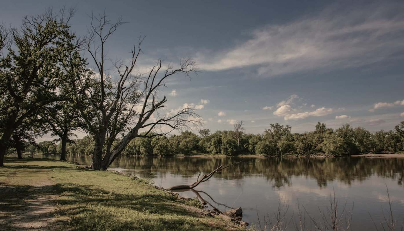 "This action undermines the public process and the public trust."