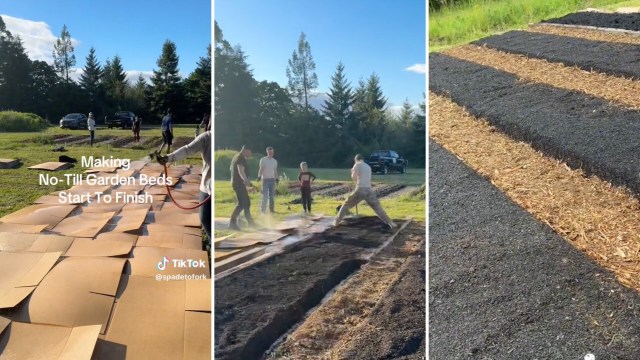 "Beautiful end result."