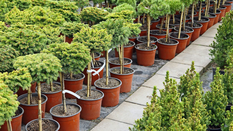 Officials are optimistic about expanding the project.