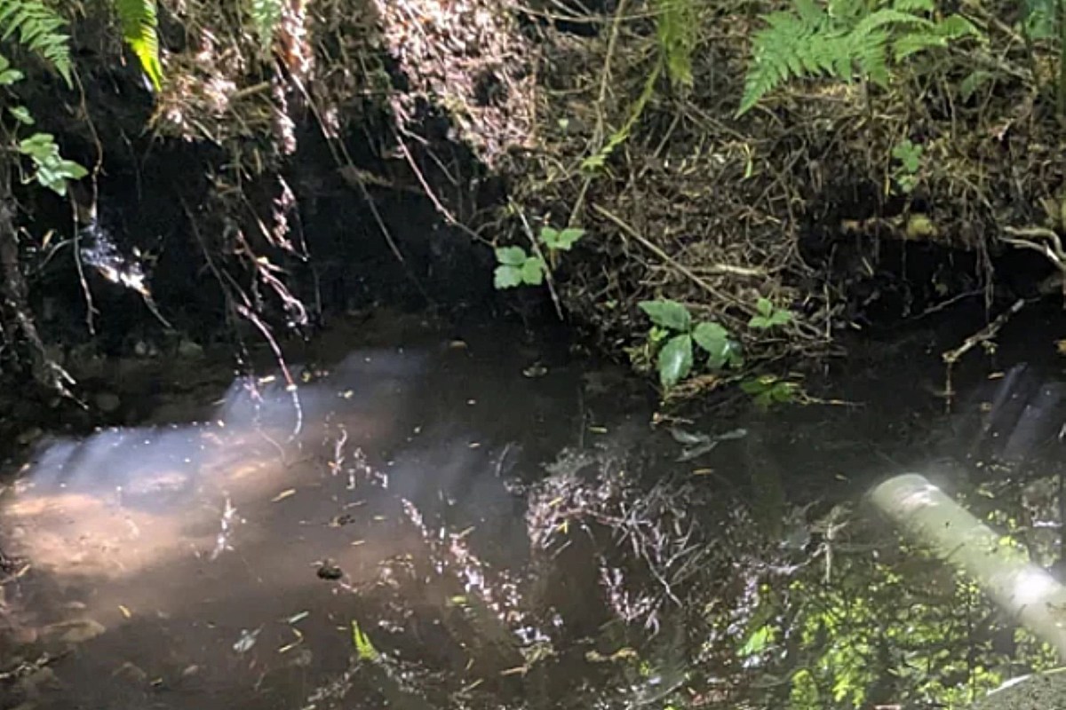 "Looking into doing something similar."