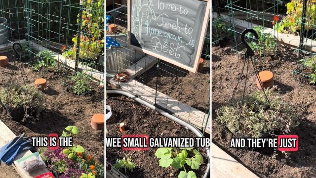 "I always wondered if those worked!"