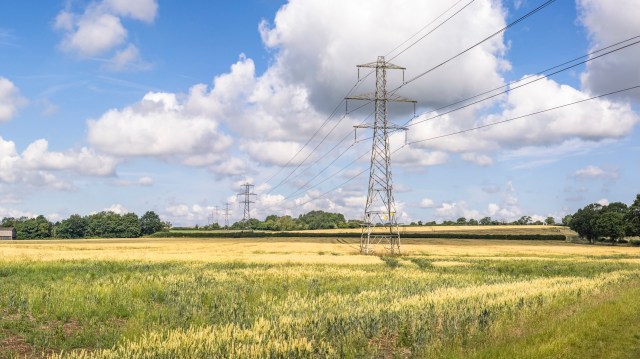 "Together we are forging a path forward."