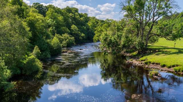 "Nature is resilient."