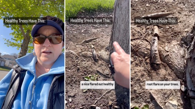 "Thank you for spreading the gospel."