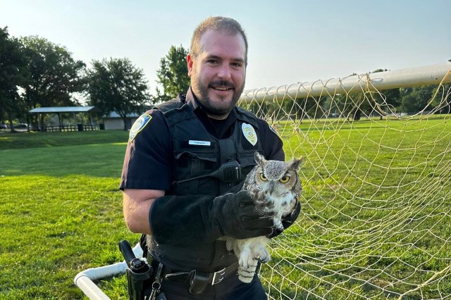 "They are amazing and kind."