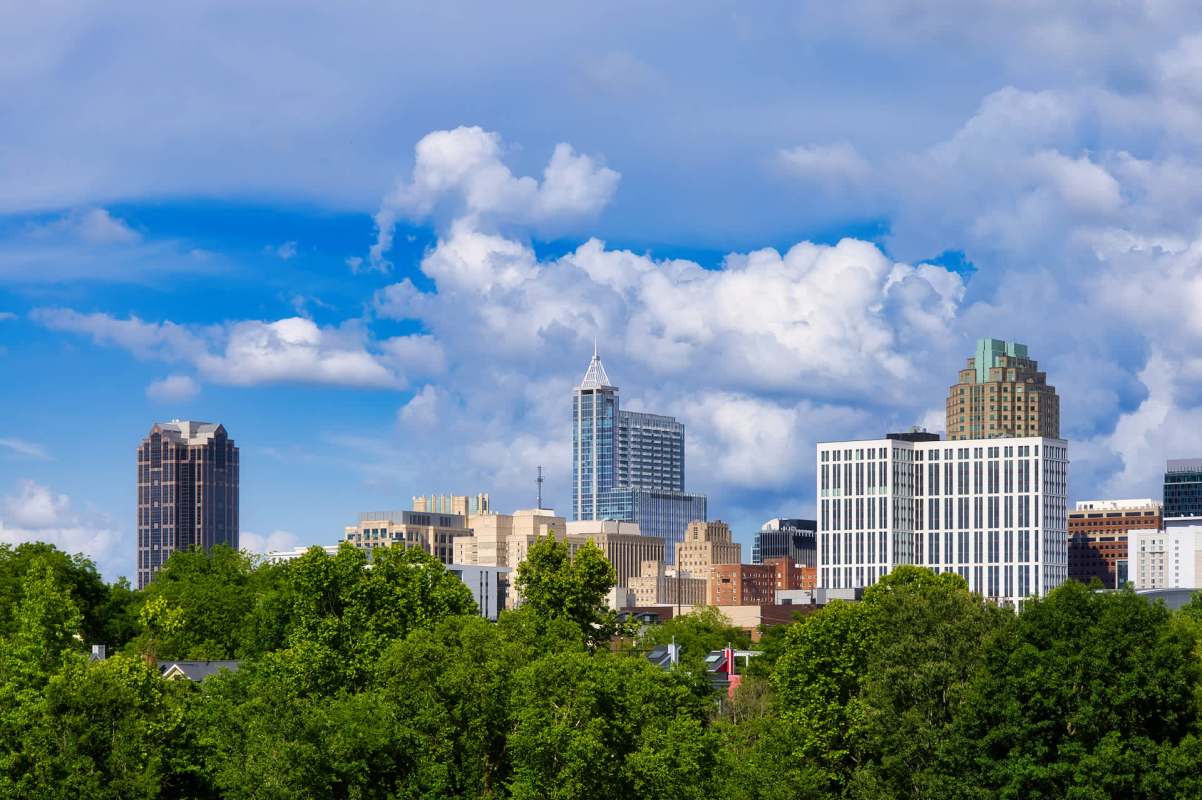 "It's notably difficult to spot because it typically hangs out in dense undergrowth."