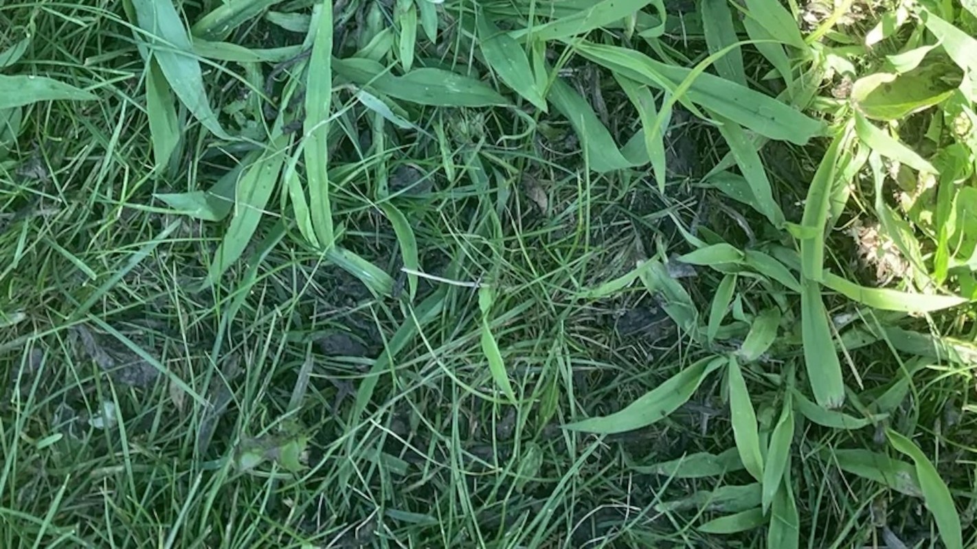 "Should we start attacking this now?"