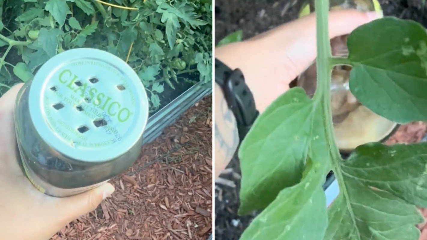 "Call it what you want: frugal or resourceful."