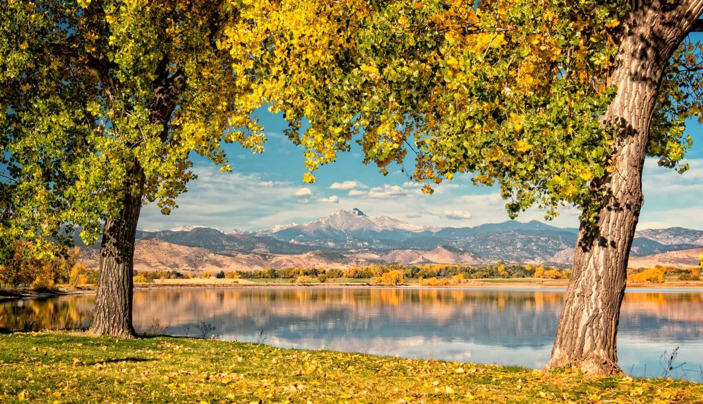 "We also need to leave some places safe for the animals and the birds."