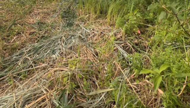 "You have done so much work!"