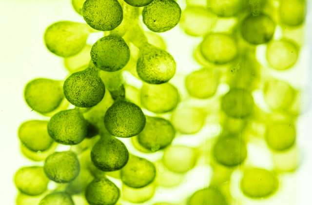 The research also aligns with growing consumer demand.