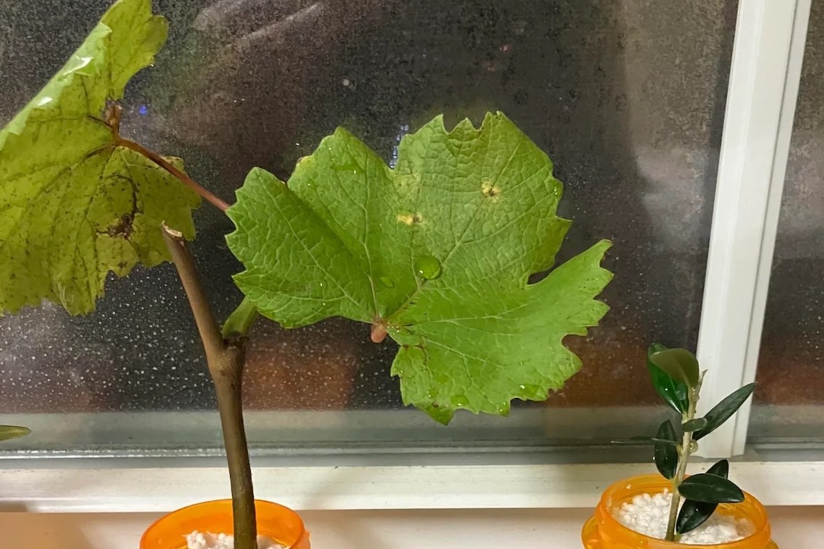 "Seems to work well."