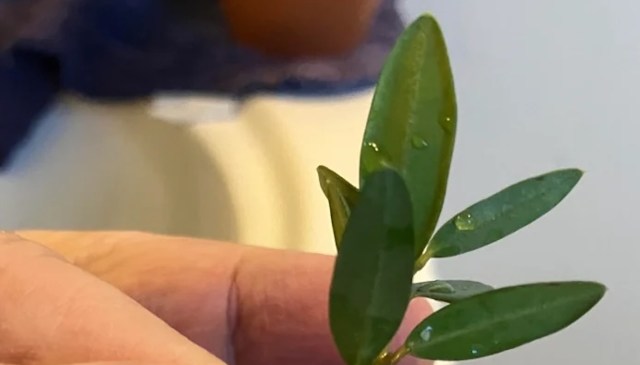 "People really be using their pill bottles."