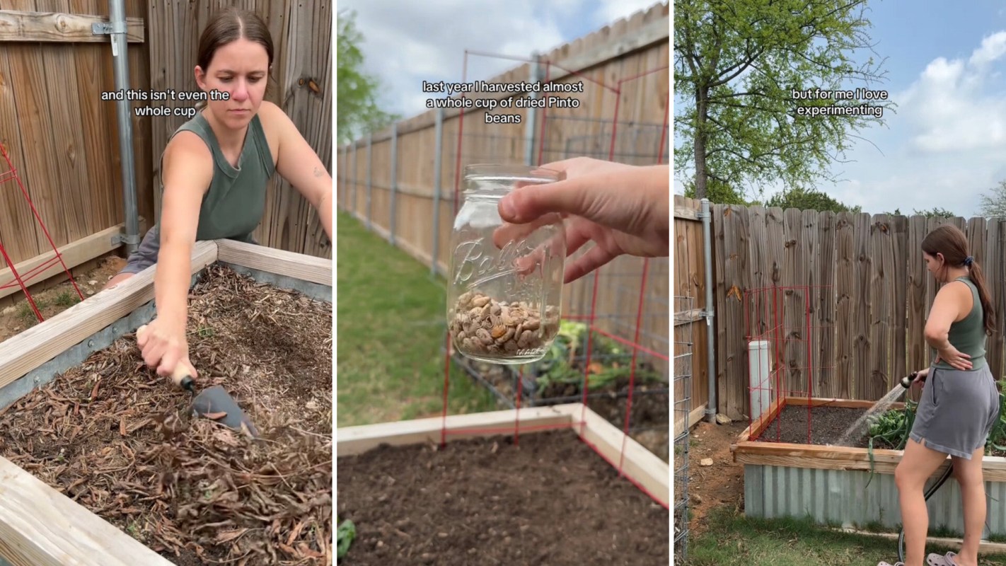 This is only one of many incredible food-growing hacks on the internet.