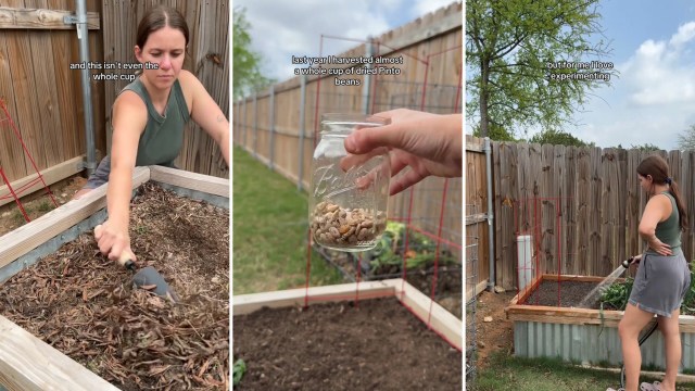 This is only one of many incredible food-growing hacks on the internet.