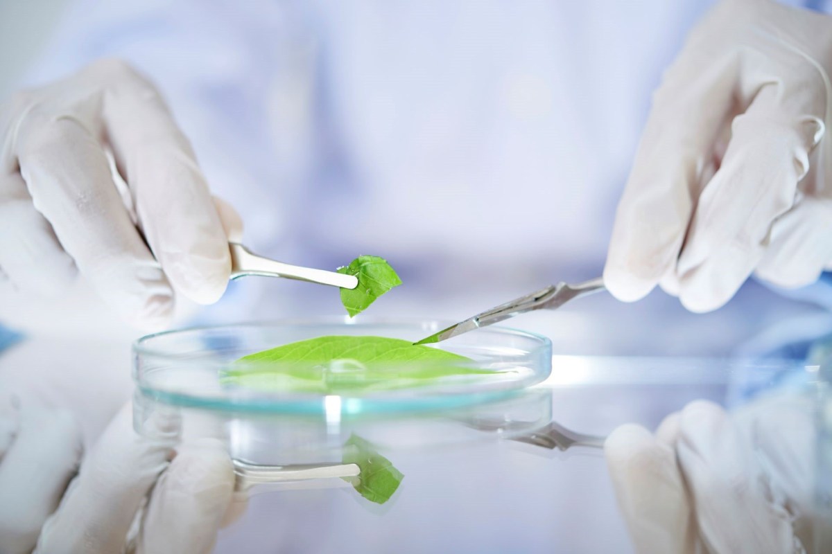 It could help feed more people while cutting waste throughout the food supply chain.