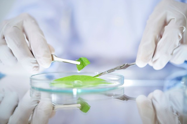 It could help feed more people while cutting waste throughout the food supply chain.