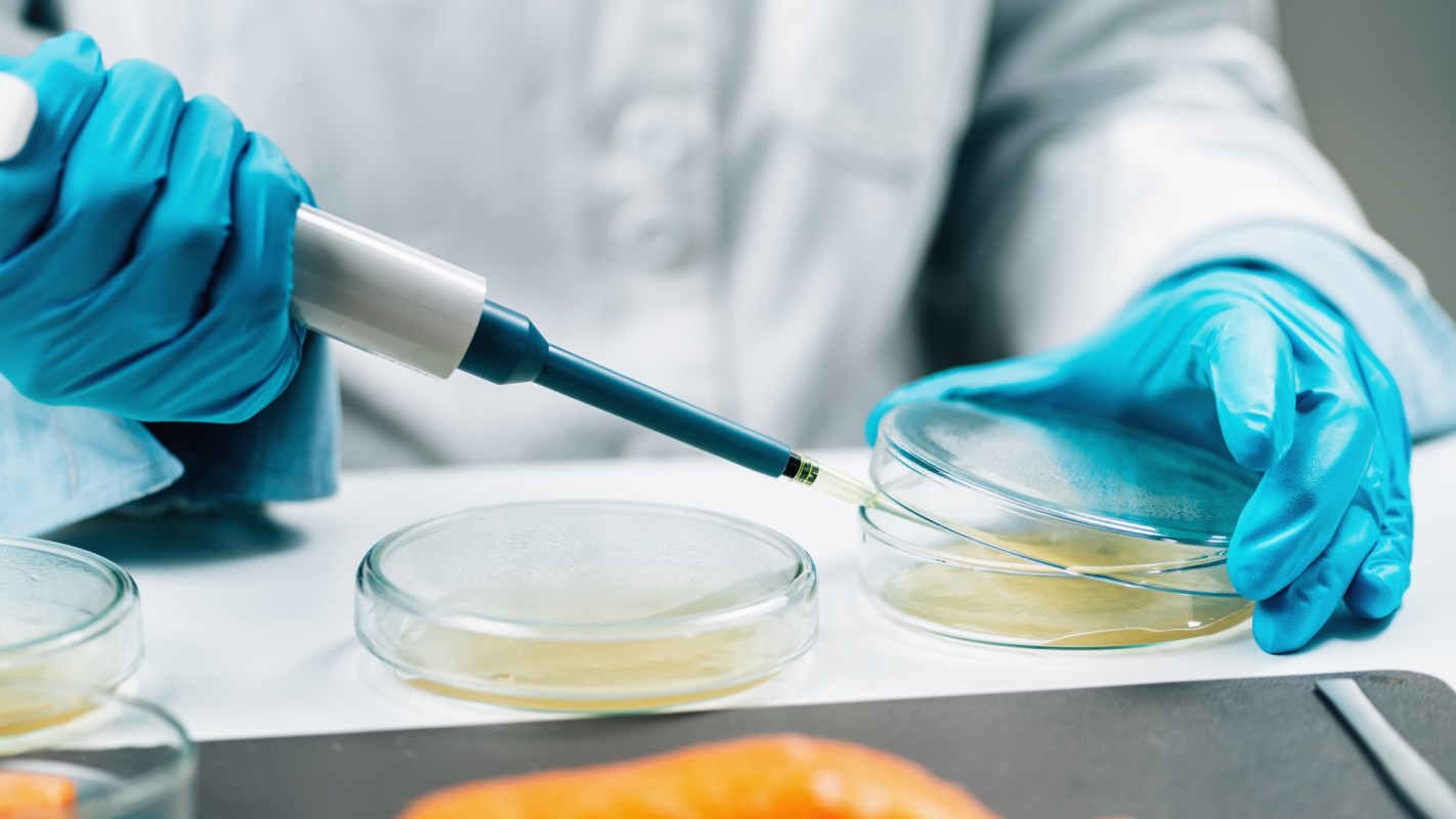 Such advances could lead to tighter food safety regulations and more consumer transparency.