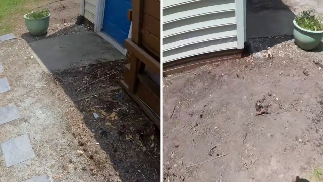 "Not a good decision."