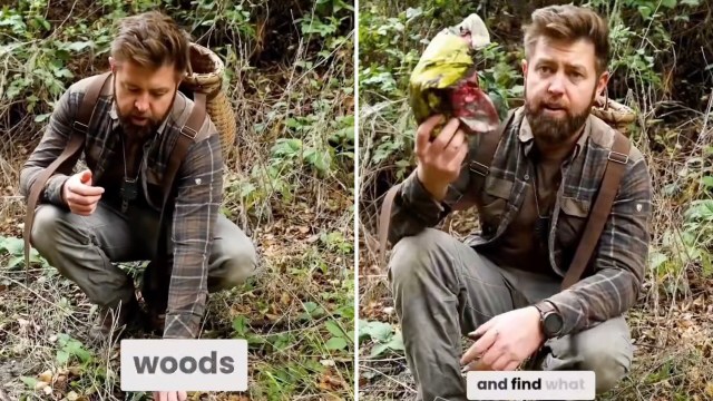 "They are terrible."