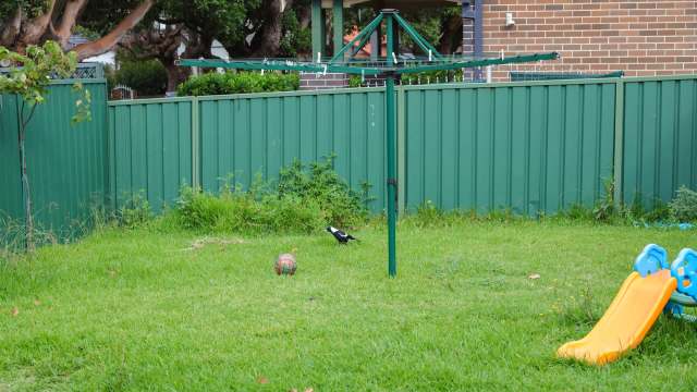 "So many reasons to cease all usage!"