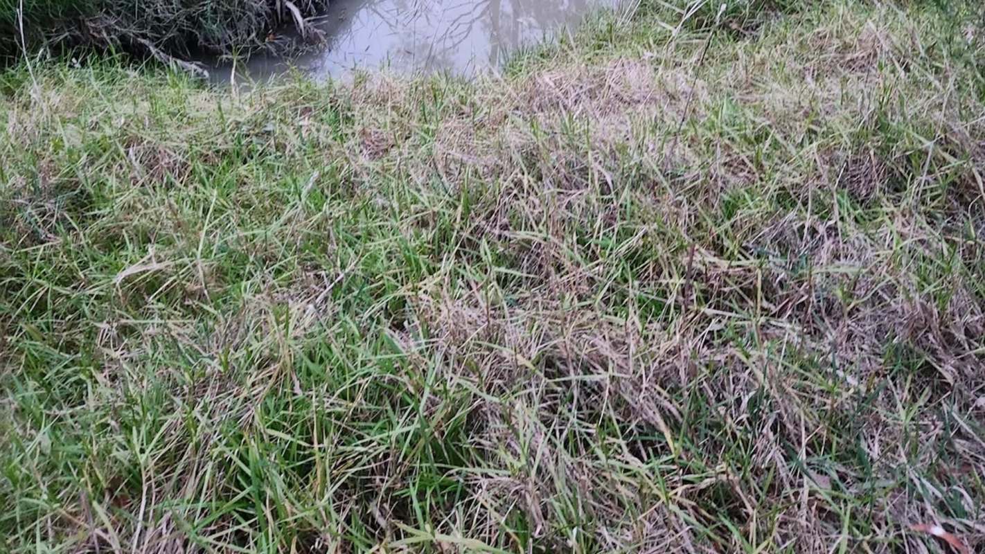 "Staff are aware of this and have already taken actions."