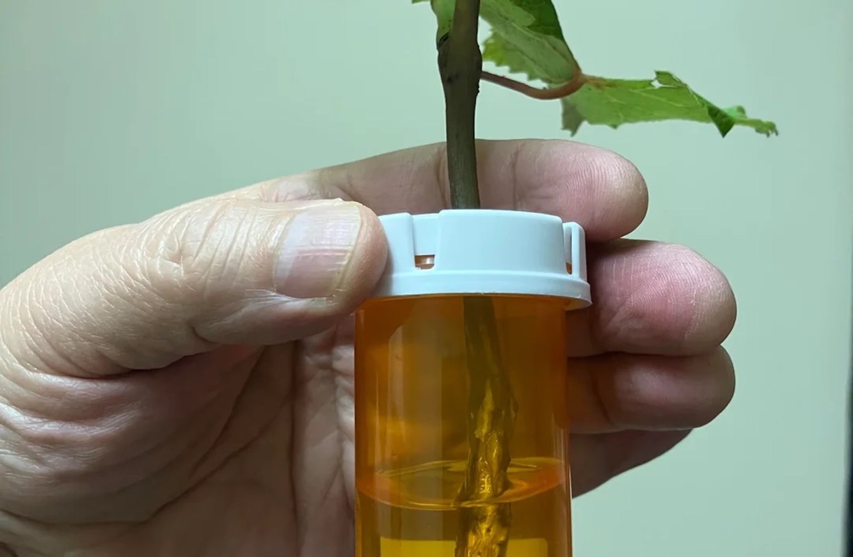 "This is a great prop container idea."