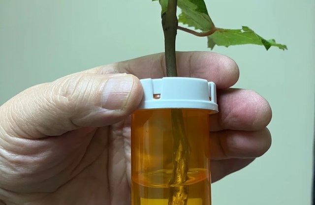 "This is a great prop container idea."