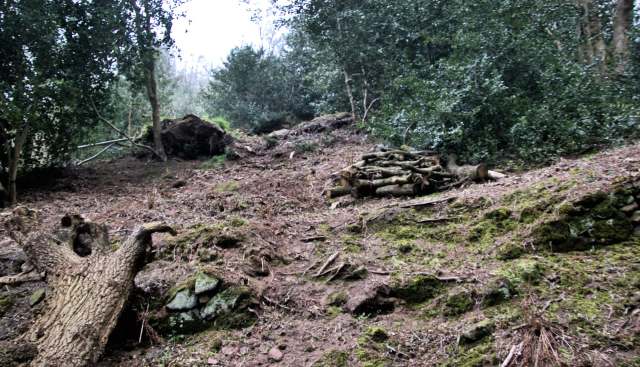 The area was under a special order.