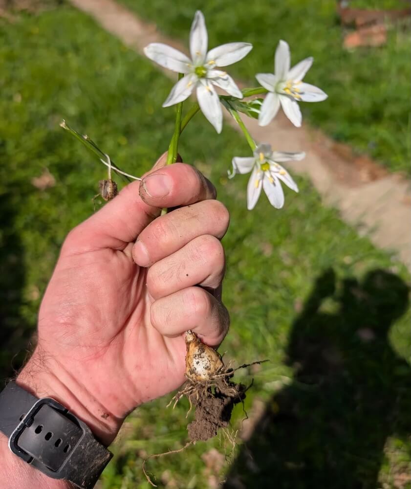 "Sounds like a fun weekend."