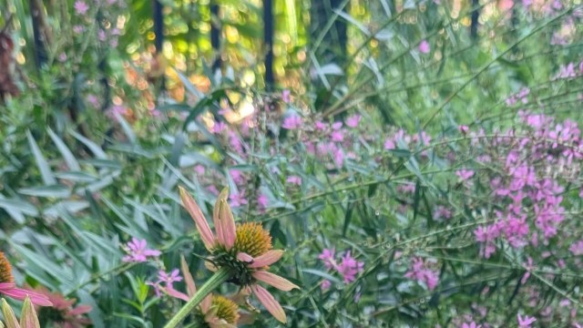 "You might as well start now."