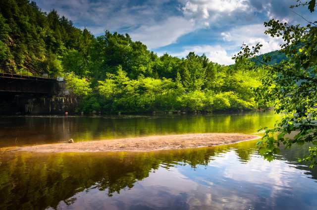 "Phenomenally important."