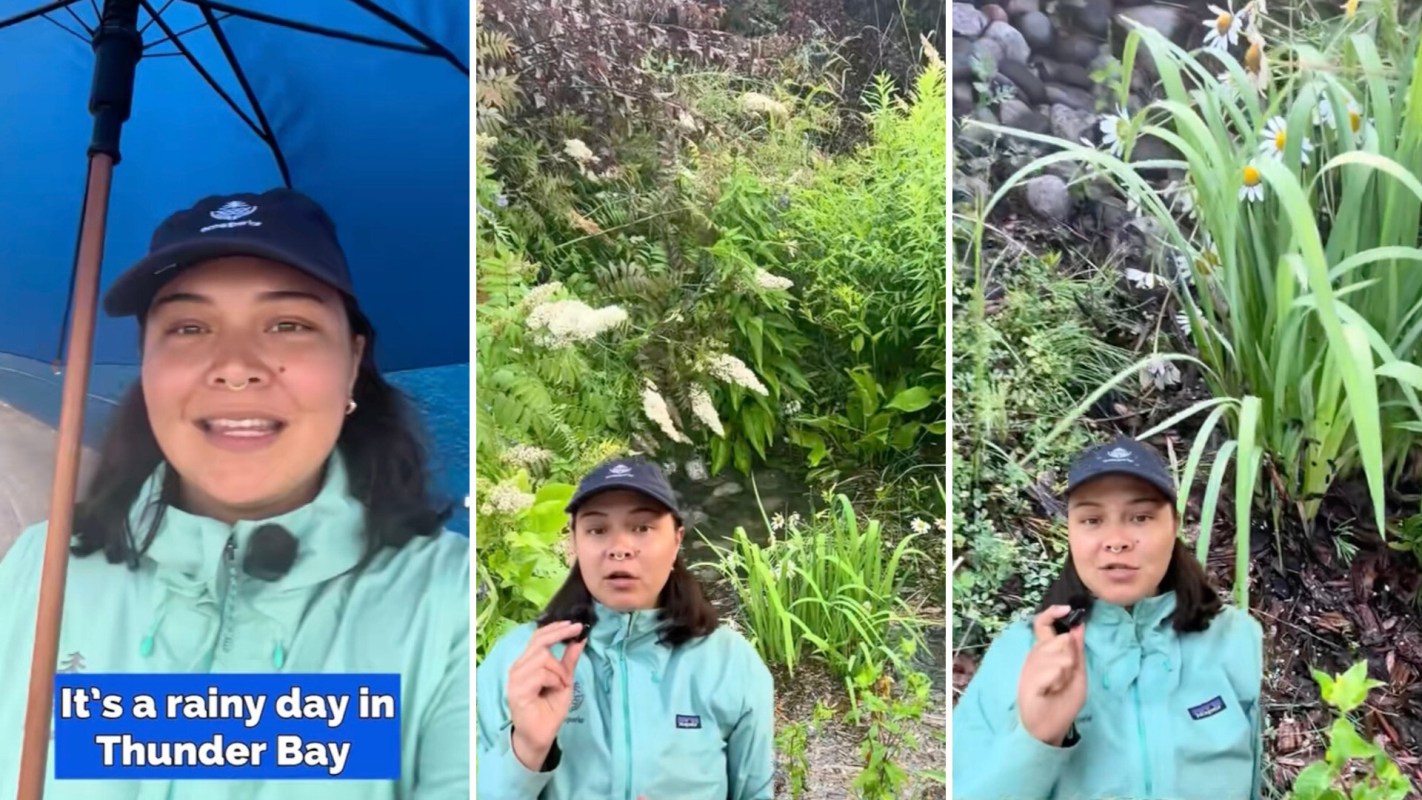 "Less than 24 hours later, it's completely drained."