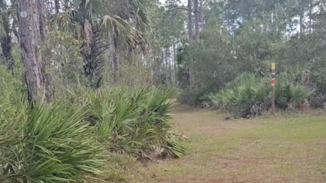 "I would freak out!"