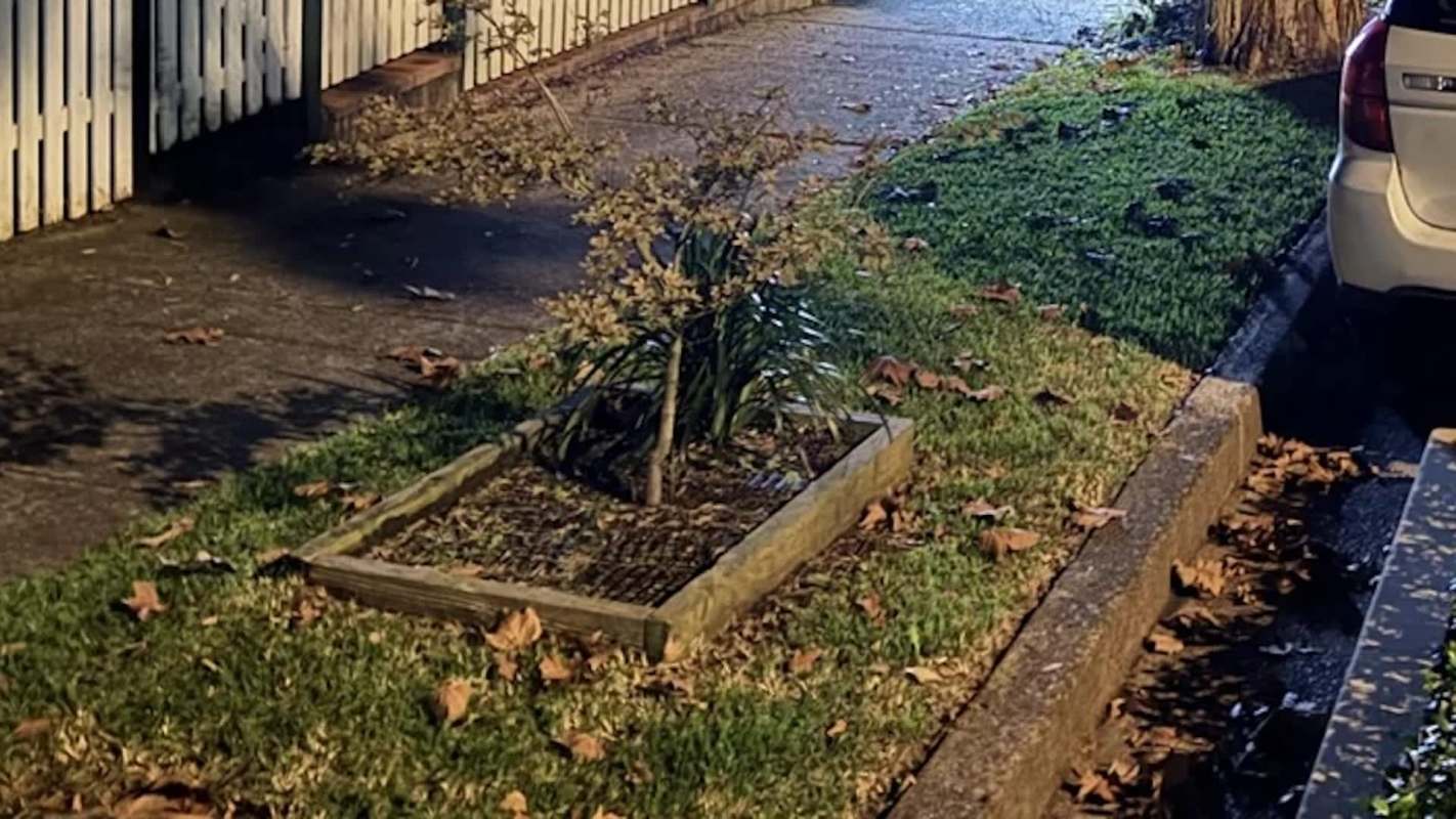 "I feel bad for the neighbors."