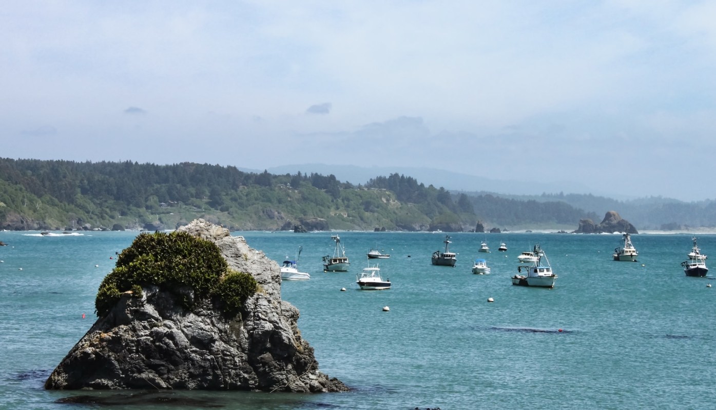 "It just feels like the rug gets pulled out from underneath us."