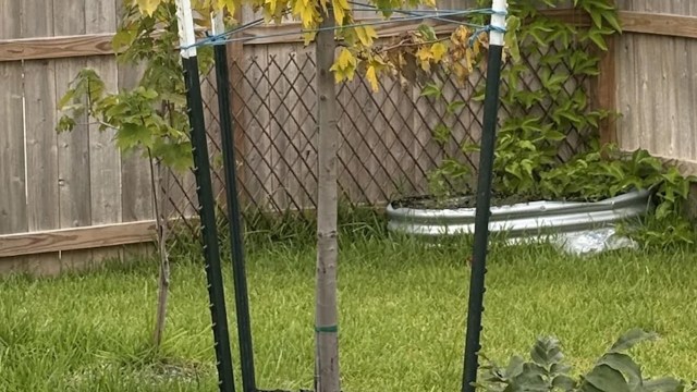 "It likely will not look better until next spring."