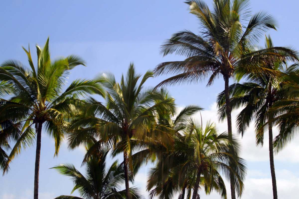 "We're late in addressing this."