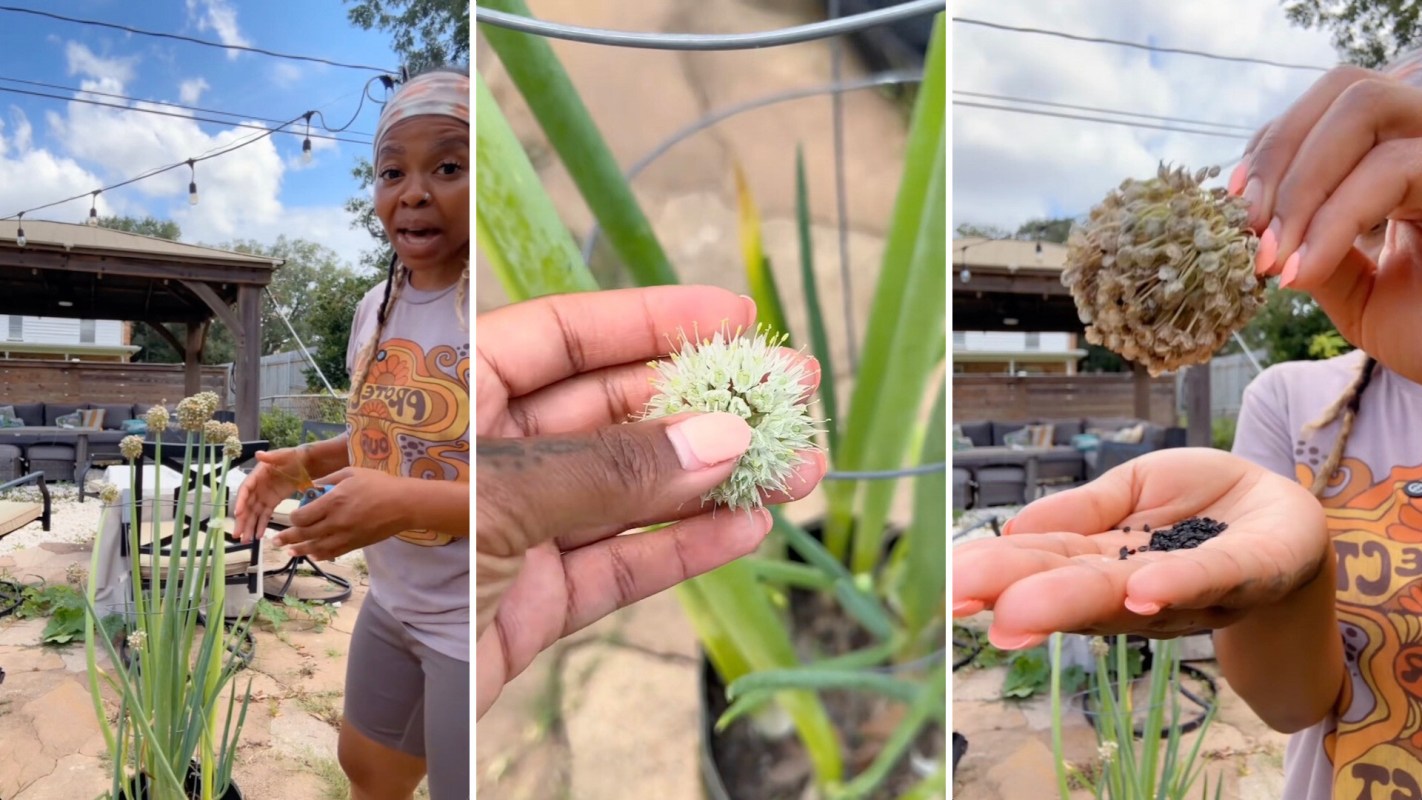 "I have been doing this for over 10 years."