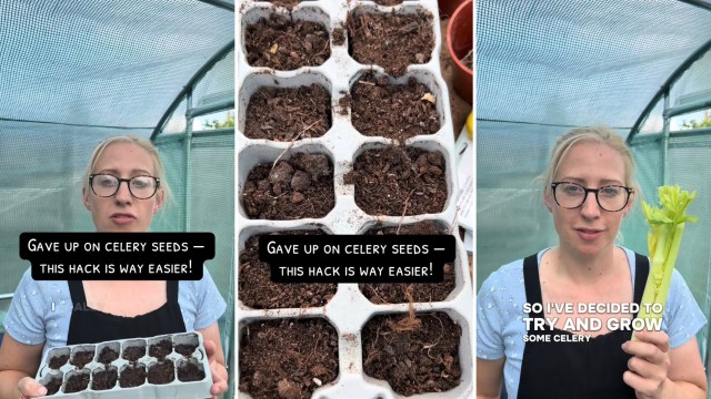 "I've never seen that done."