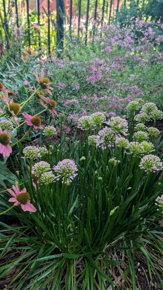 "You might as well start now."